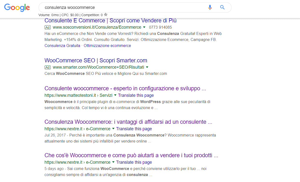 seo 2019 - serp