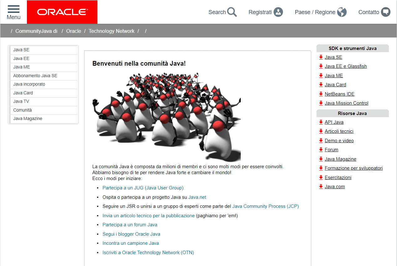 Java sviluppo - community