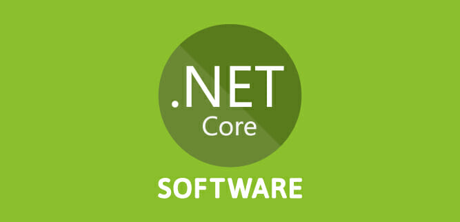 Mi fai un esempio di software che avete sviluppato con .NET Core?