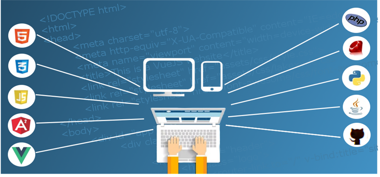 sviluppo Web aziendale Asp net core