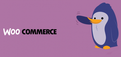 Consulenza Woocommerce