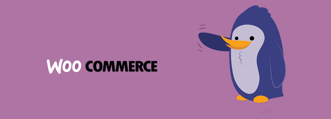 Consulenza Woocommerce: i vantaggi di affidarsi ad un consulente